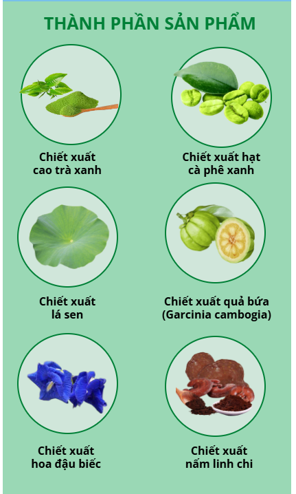 Thành phần thiên nhiên trong thuốc giảm cân Vitafit – An toàn và hiệu quả.